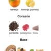 Terre D'Hermes Rincon Perfumado Extracto improtado notas