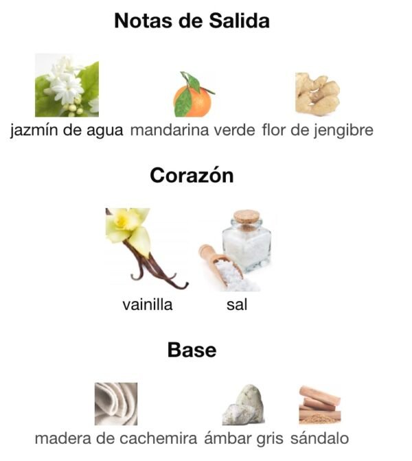athenea-yves-dorgeval-rincon-perfumado-notas