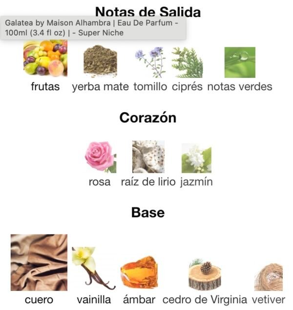 galatea-rincon-perfumado-notas