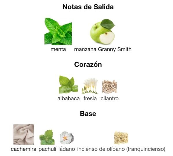 hydo-just-different-notas-rincon-perfumado