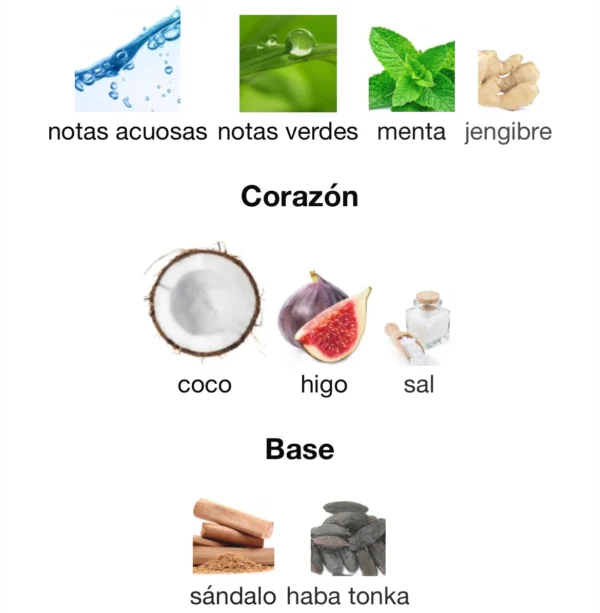 paradise garden notas