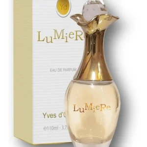 LUMIERE YVES D'ORGEVAL